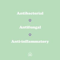 Gizzls CBD Balm for Boops, Skin & Paws